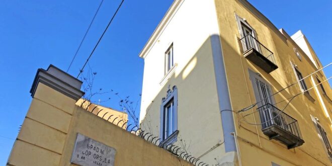 suor orsola