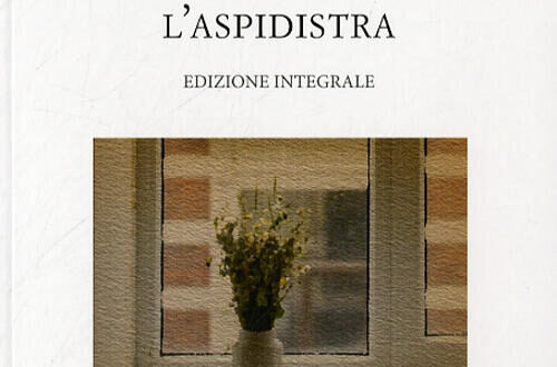 Orwell aspidistra