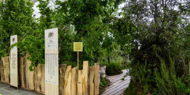 Il bosco degli scrittori